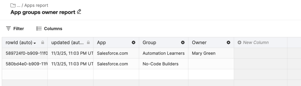 Table showing groups assigned to an app and group owners.
